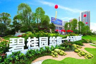 碧桂园爆料最新,揭秘千亿房企的转型之路与未来布局”